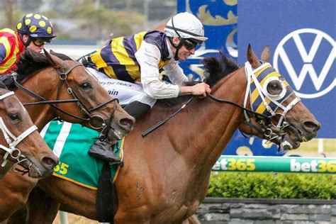 geelong cup odds|2023 Geelong Cup Odds, Field & Tips I Ladbrokes.